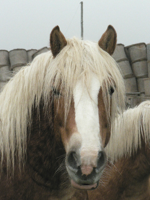 17.11.06 022.jpg