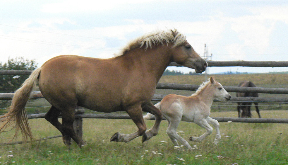 Heidy a Klárka